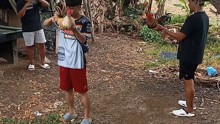 kahit umolan tari parin