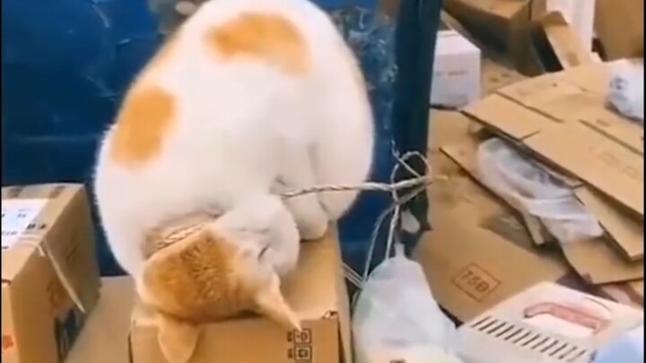 Kurir Anda sudah kelelahan, silakan ambil paket sendiri.