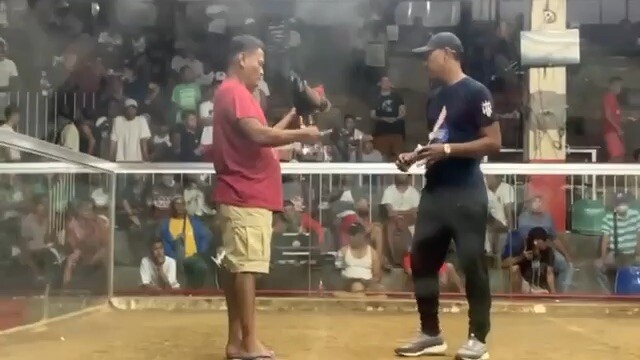 Ravena gamefarm kawing 5k