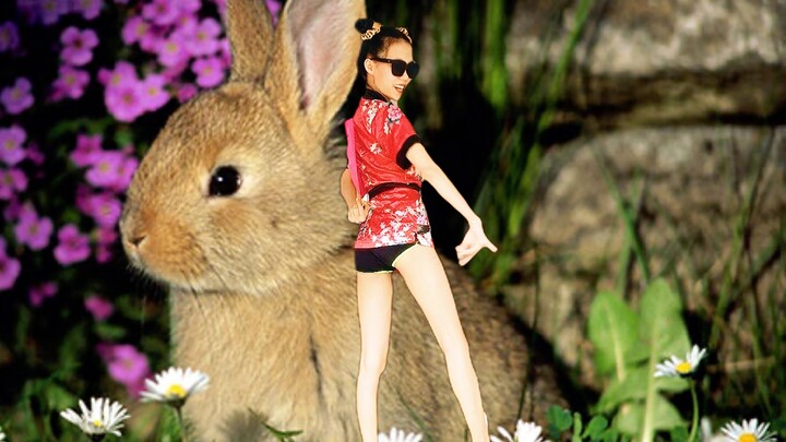 Chú Thỏ con #animecover #dance #xuhuong