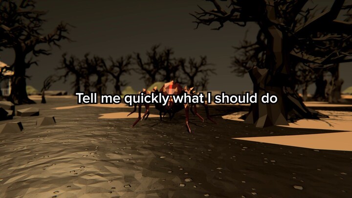 A spider is walking straight toward us.