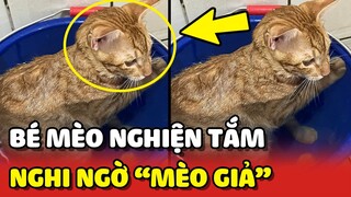 Hoàng Thượng "NGHIỆN ĐI TẮM" khiến con Sen NGHI NGỜ là MÈO GIẢ 😂 | Yêu Lu