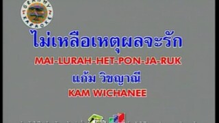ไม่เหลือเหตุผลจะรัก (Version.2) - แก้ม วิชญาณี [MV KARAOKE STEREO]