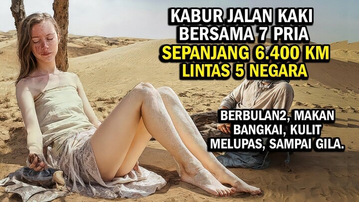 KISAH NYATA !! JALAN KAKI 6.400 KM & BERTAHAN HIDUP DI HUTAN DAN GURUN _ Alur ce