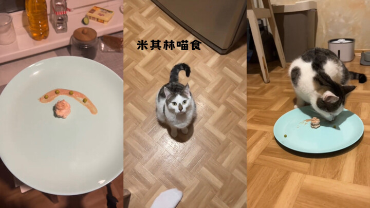 عشاء ميشلان مع مياو مياو 🍴