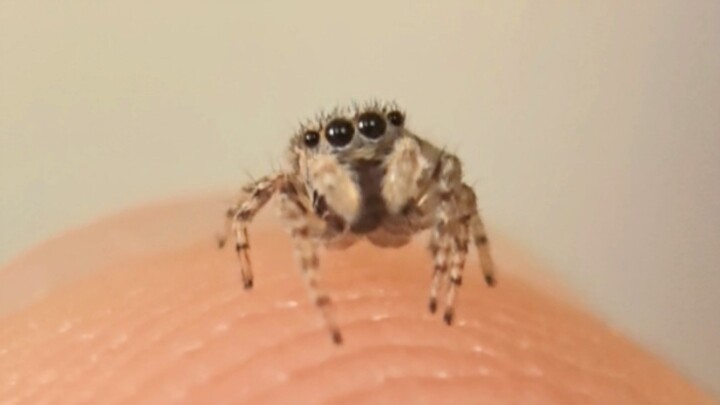 People, I just love being a sugar baby.