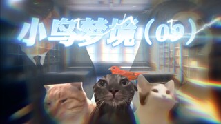 无知但全能——《小鸟梦境》（9）