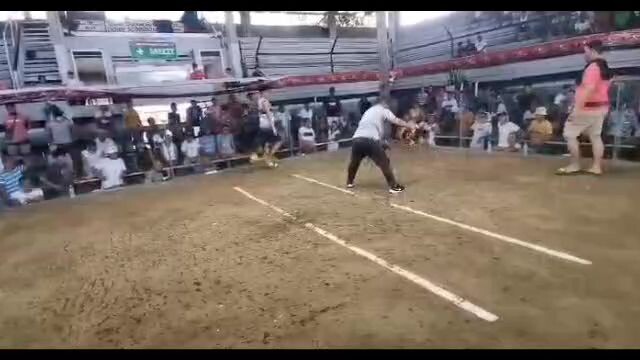 AAP GAMEFOUL