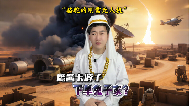 : Máy bay không người lái?