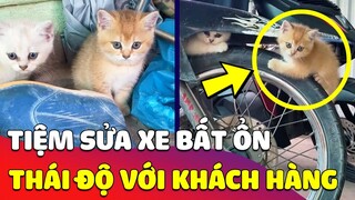 Phát hiện TIỆM SỬA XE bất ổn, nhân viên THÁI ĐỘ với khách hàng bị BỐC PHỐT lên mạng xã hội 😂 Gâu Đần