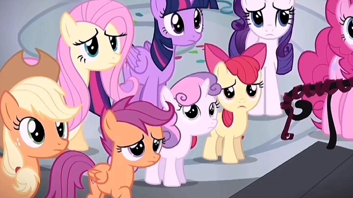 Newton: "I don't care about the horses"