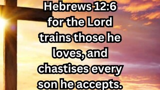 Daily Reflection August 03, 2025 #faith #bible #reflection