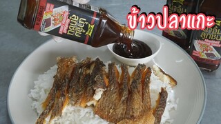 ข้าวปลาแกะ ราดน้ำจิ้มลูกชิ้น เนื้อปลากรอบนอก นุ่มใน อร่อยมาก