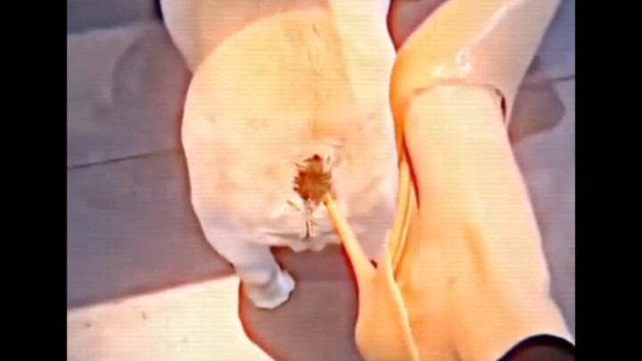 ⚡️ Tough as a Clam ⚡️ 1 3 4