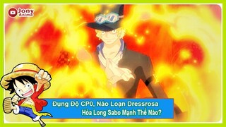 Sabo Người Kế Thừa Hỏa Chí Của Ace