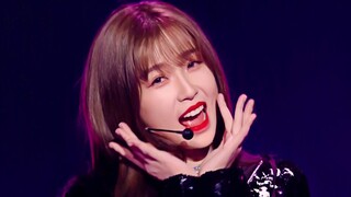 It has the taste of white cut black! The limited idol stage shark is crazy!