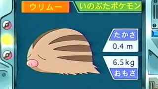 オーキド博士のポケモン講座(ウリムー)