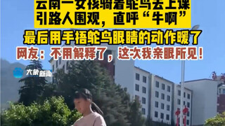 2月3日云南大理，“云南别解释了，这次亲眼所见！”云南一女孩骑着鸵鸟去上课，引路人围观，直呼“牛啊”最后用手捂鸵鸟眼睛的动作暖了#云南 #路人视角