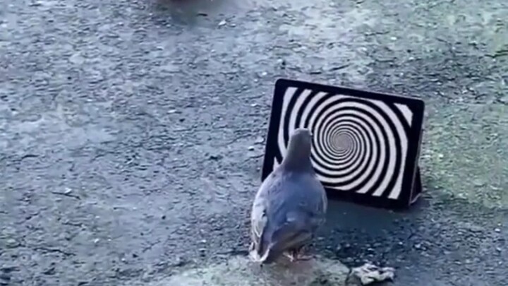 After watching my video, go get some exercise!