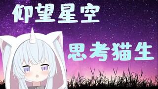 猫生不易，奶猫叹气～