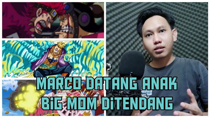 One Piece 981 | Marco, Neko, Izo Datang | Aliansi Luffy Semakin Lengkap