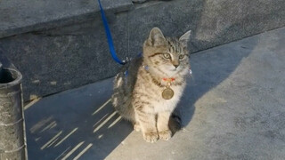 เขาคือเจ้าของร้านผลไม้ตัวน้อยที่หน้าร้าน