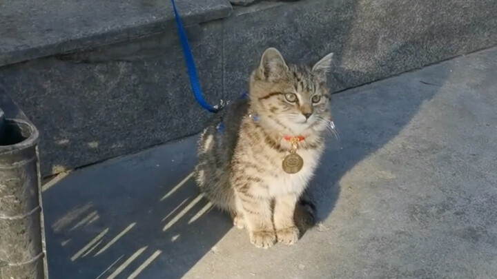 إنه صاحب المحل الصغير أمام محل الفواكه