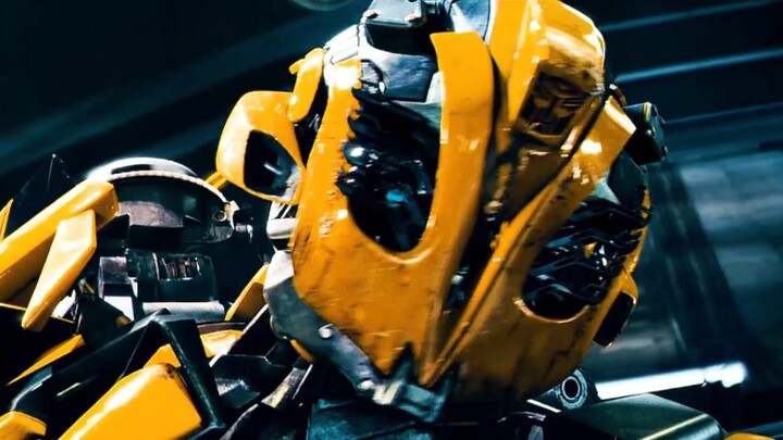 Bumblebee is super handsome hunting