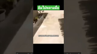 ^มีรวมคลิปเต็มชุดนี้กดดูลิงค์ด้านบนเลยจ้า^ อิ่มไปหลายมื้อ