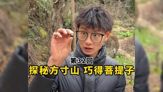 第32回【探秘方寸山，巧得菩提子】