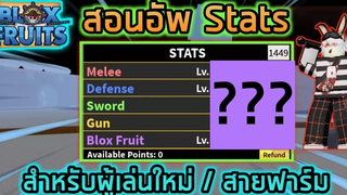 Roblox 🎄🦌 Blox Fruits UPDATE 13 สอนอัพ Stats สำหรับผู้เล่นใหม่และสายฟาร์มอย่างเต็มรูปแบบ