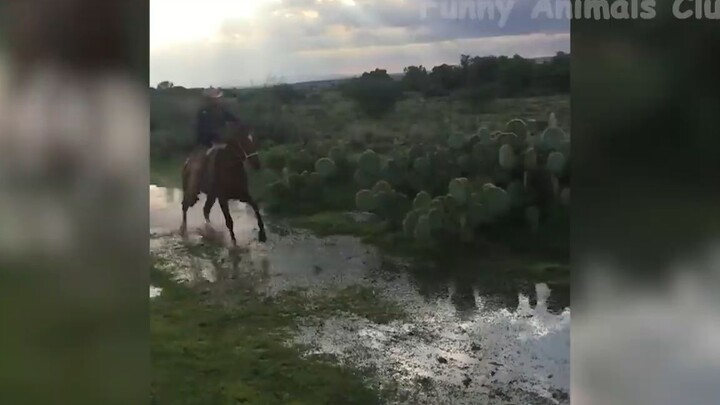 Đỡ không nổi những tình huống khó đỡ #101