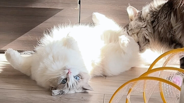 True both on and off the stage!