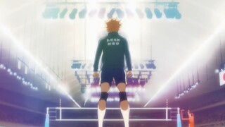 Do you like less popular sports anime?