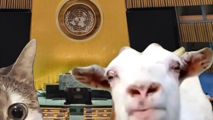 Rabbit's top conspiracy