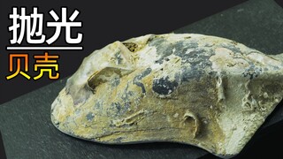 【解压】耗时18小时，把贝壳磨到流光溢彩！