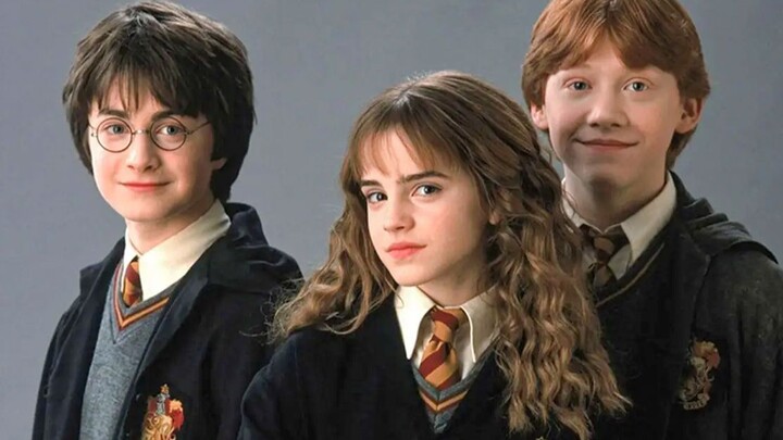 “Magic never ends, Harry Potter fans will never part” — high-energy | On cue