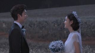 "They all have what I think is the perfect love." Please be together.