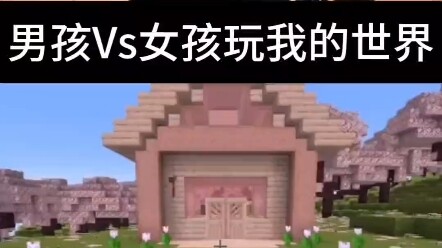 Minecraft: How Different Are Boys and Girls When Playing Minecraft?