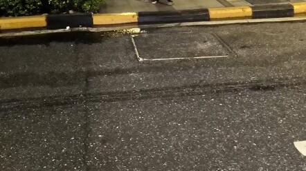 Lời kêu cứu đầy tuyệt vọng của một người mẹ khi mất đi đứa con, thực ra giữa động vật và con người c