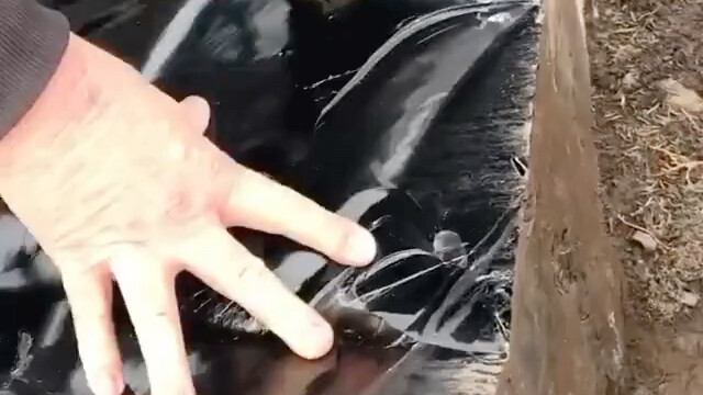 Ada yang tahu batu apa ini? Beri tahu saya di kolom komentar.