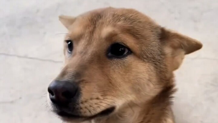 Vacation started too early—bored at home, just hanging out and playing with the dog every day.