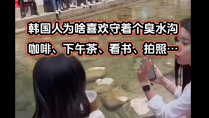 Why do Koreans love hanging out by that stinky ditch—drinking coffee, enjoying afternoon tea, readin