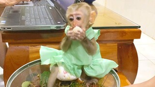 Favorite Fruit For Princes Maya Is Rambutan, She Eat This Fruit Never Full