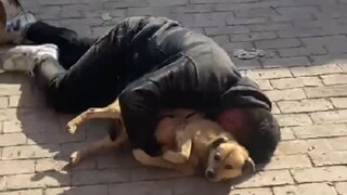 "Even the wilted ones are so damn cute!"