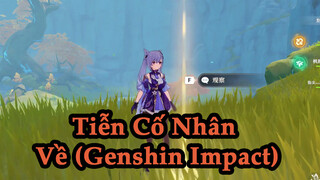 TiễnCốNhânVề(GenshinImpact)