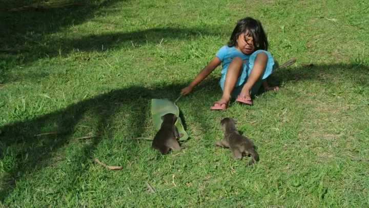 💖Sweet  OTTER PUPS and HUMAN SIS running playing CUTENESS OVERLOAD and funny. BFF's forever