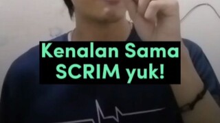 Kenalan Yukk Sama Istilah SCRIM Dalam Dunia Gaming