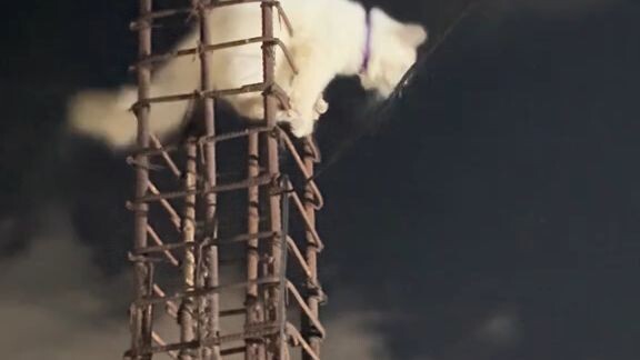 this vedio not mine .....