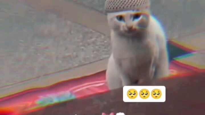 sort video